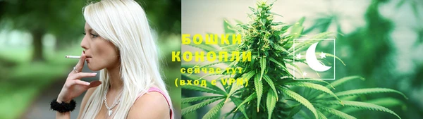 круглые Белокуриха