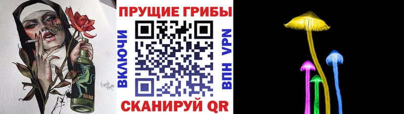 даркнет состав  Калининец  Псилоцибиновые грибы Cubensis 
