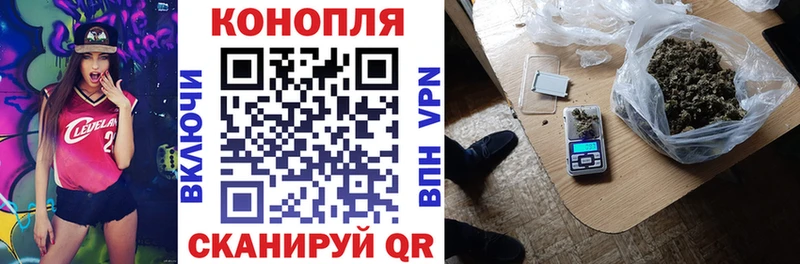 МАРИХУАНА гибрид  Калининец 